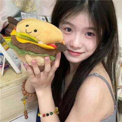 市委书记日记